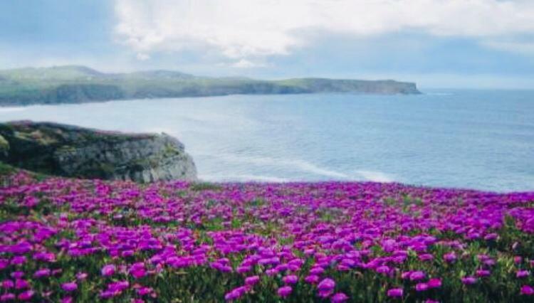 Apartamentos Casa Carmen Suances Kültér fotó